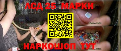 гидропоника Аргун