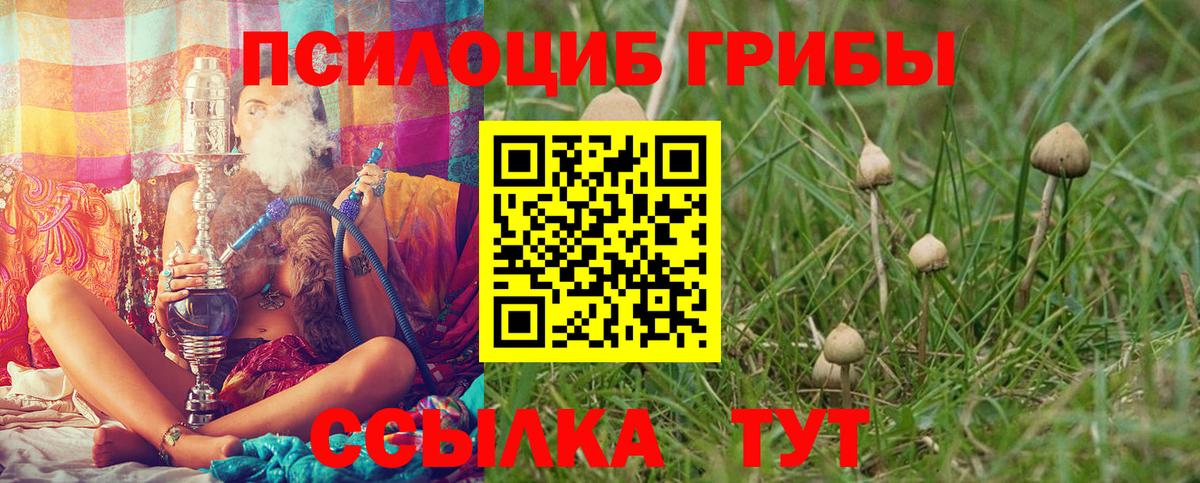 Псилоцибиновые грибы мицелий Бузулук
